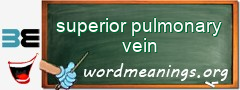 WordMeaning blackboard for superior pulmonary vein